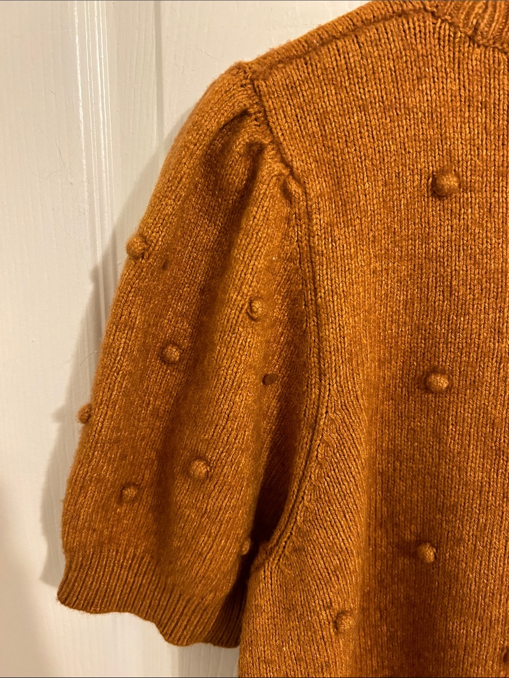 Anthropologie Pommed Pom Pom Short Sleeved Sweater Top Size XL Made in Italy - Picture 9 of 13